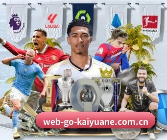 web-go-kaiyuane.com.cn APP